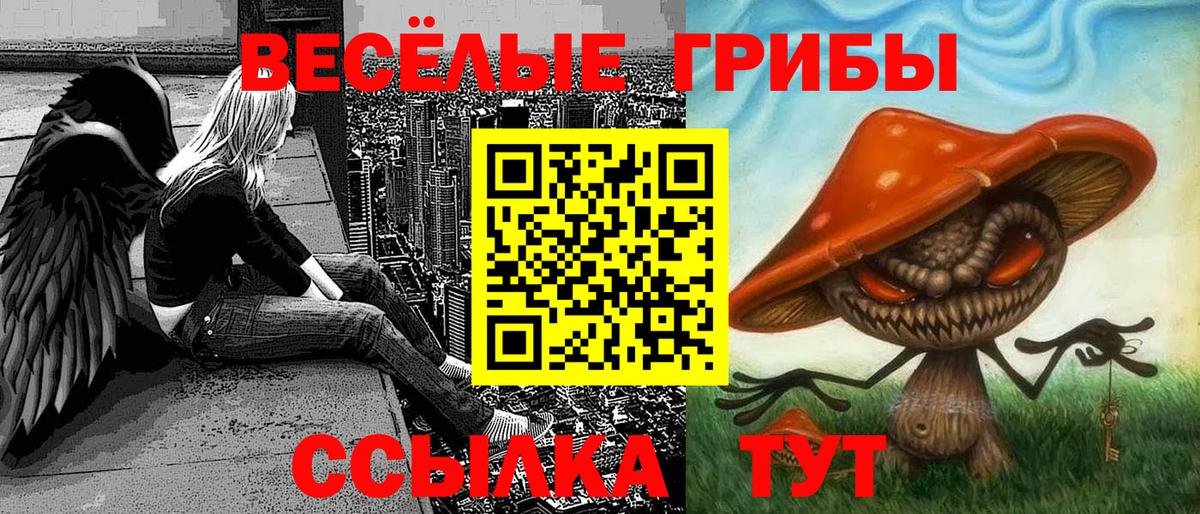 Псилоцибиновые грибы MAGIC MUSHROOMS Десногорск