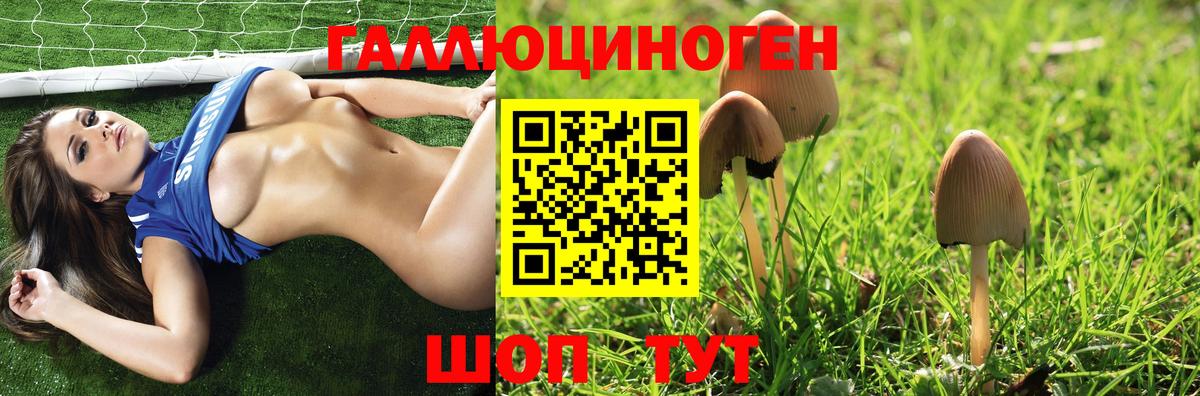 Десногорск  Галлюциногенные грибы Magic Shrooms  Вход с VPN 